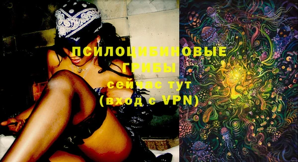 молекула духа Балабаново