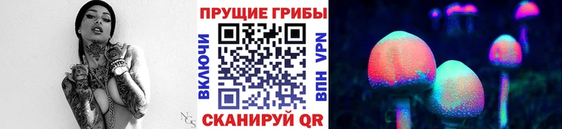 Галлюциногенные грибы мицелий  Чекалин 